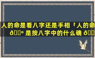 人的命是看八字还是手相「人的命 🐺 是按八字中的什么确 🕷 定」